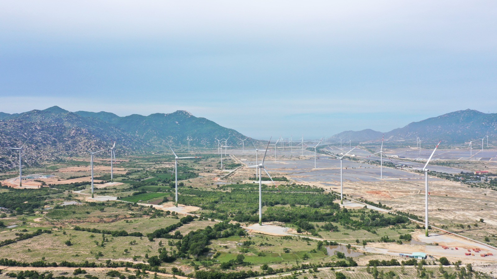Bild: Windpark in Vietnam
