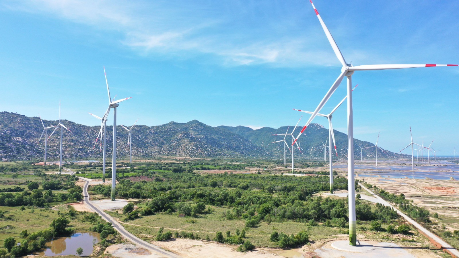 Bild: Windpark in Vietnam