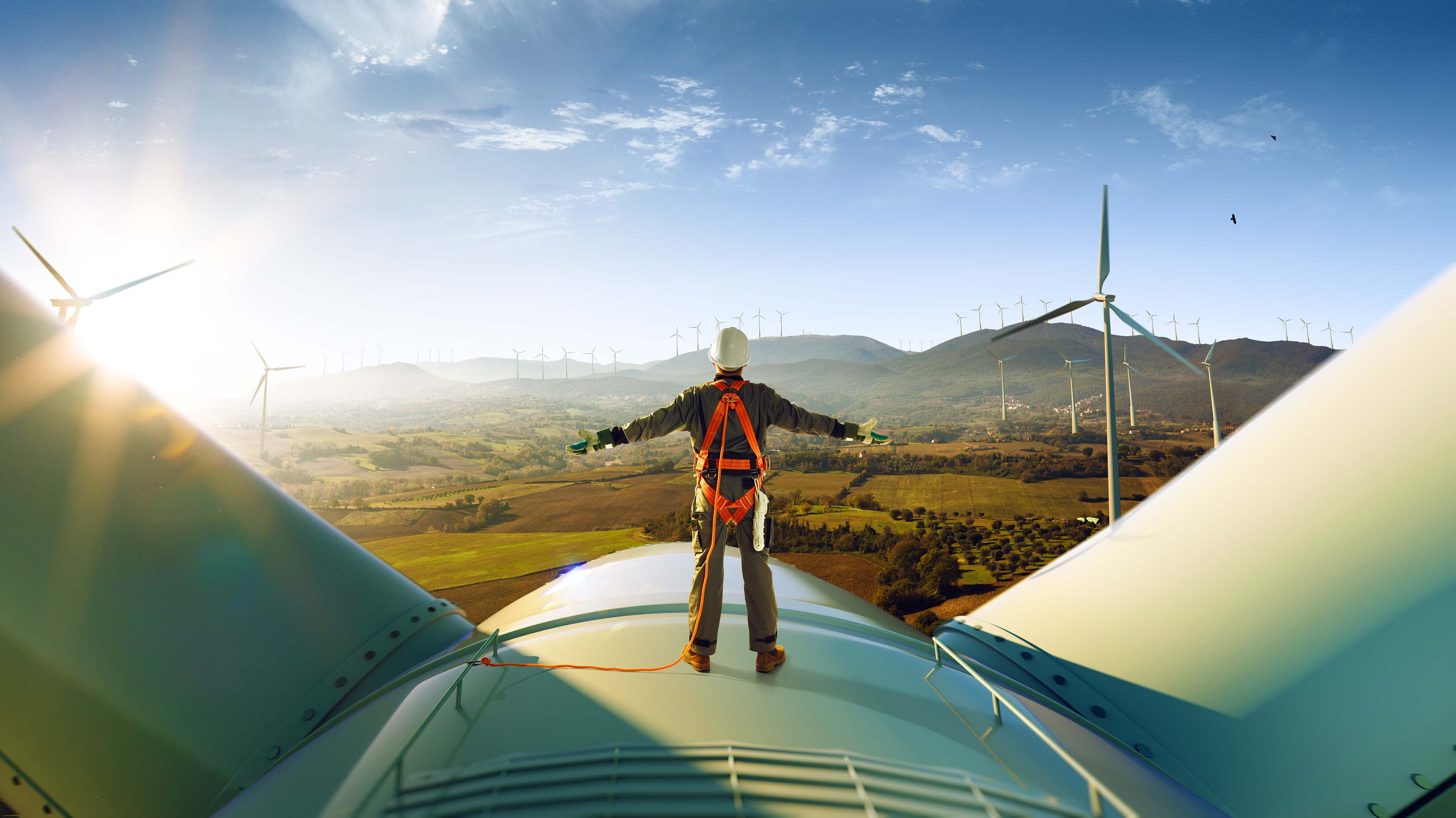 Teaser Sektorleitlinien Bild: Mann auf Windkraftrad blickt in Landschaft